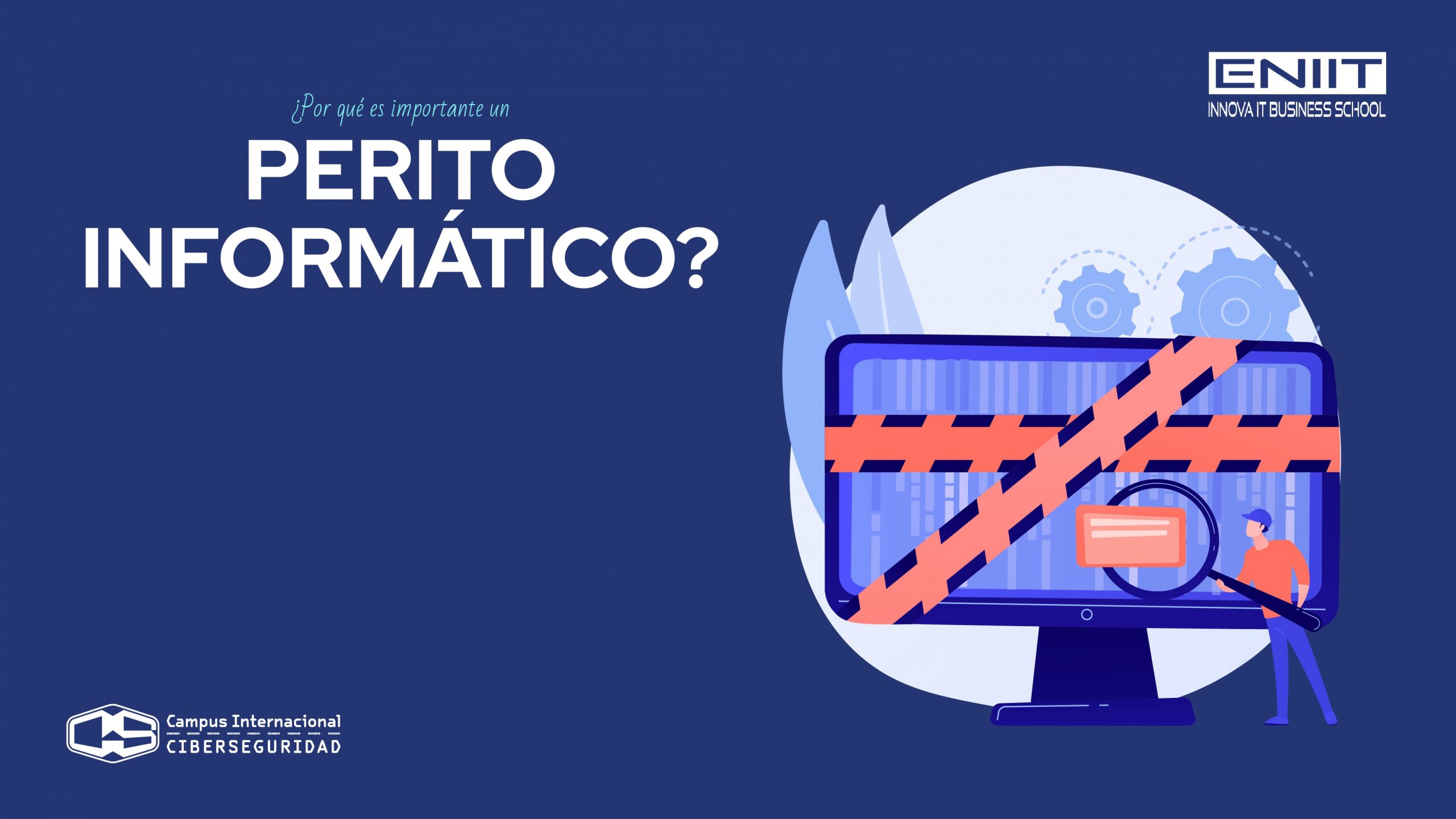 Entrevista a un Perito informático