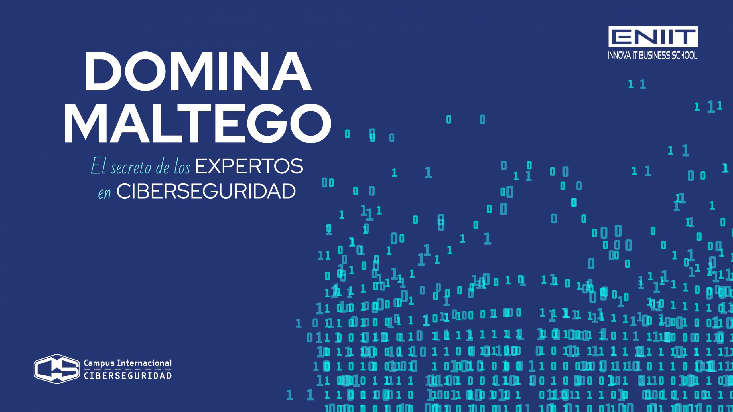 Domina Maltego. El secreto de los expertos en Ciberinteligencia