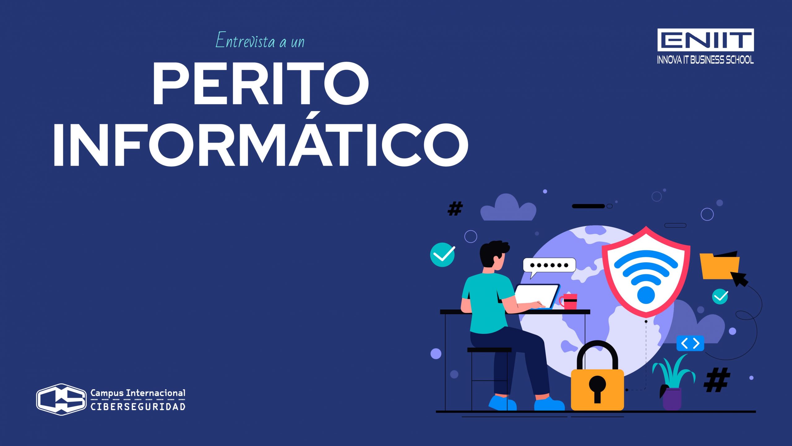 Entrevista a un Perito informático I